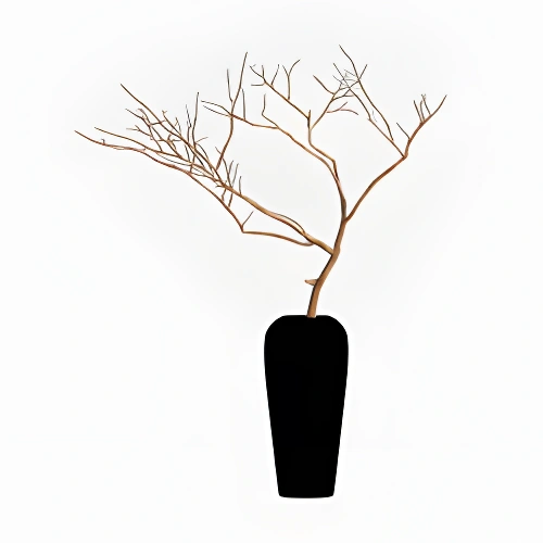 Elegant Minimalist Black Vase with Branches